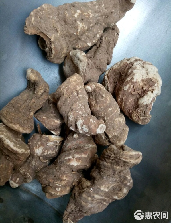 滇重楼 地道重楼干货的药用与选购指南