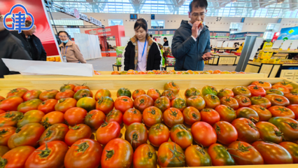 供销社创新服务新农业态，助力水培蔬菜、静海红薯、宝坻三辣等初级农产品腾飞