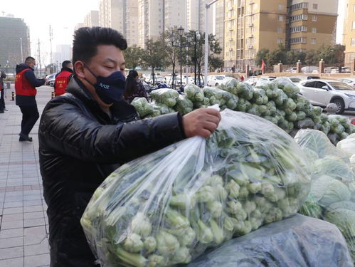 八吨爱心蔬菜千里驰援 河南菜农通搭建“田间到一线”暖心桥