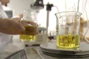 从田头到舌尖 红芸豆与柚子的跨界深加工致富经