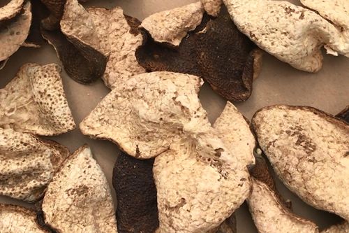 虫蛀的新会陈皮 能否食用与处理建议