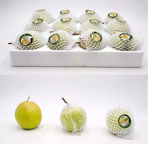 梨还分公母？教你1招挑选，吃了5斤之后才发现初级农产品的秘密