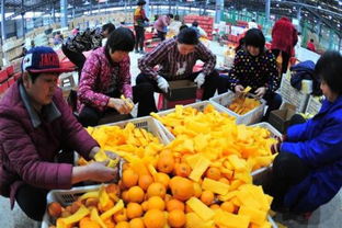 农业电商经营初级农产品，是否需要办理食品经营许可证？一文带你全面了解