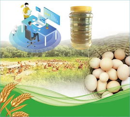 2019年延边州扶贫农产品展销会启幕 安图特色初级农产品一览