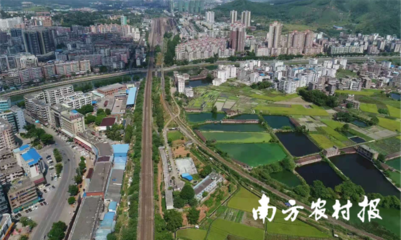 品质为王！鑫泉食品拟投5000万升级肉类产业，强化初级农产品源头把控