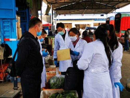 隆阳区农业农村局开展2021年农产品质量安全“质量月”活动，聚焦初级农产品安全保障