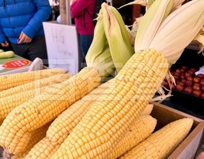 初级农产品概述