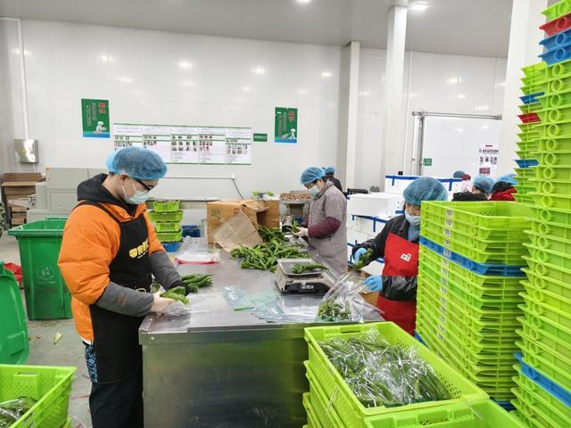 不打烊不断档！吕巷全力守护春节“菜篮子”，这些“家门口”的果蔬你吃过吗？