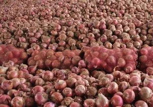 为滞销农产品奔走呼号之余,这才是最值得思考的